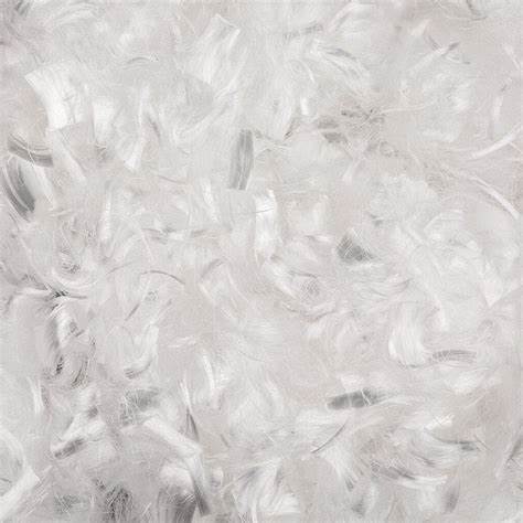 Abstract white feather texture painting